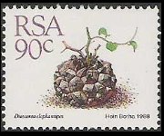 Sudafrica 1988 - serie Piante grasse: 90 c
