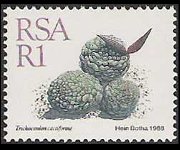 South Africa 1988 - set Succulents: 1 r
