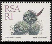 Sudafrica 1988 - serie Piante grasse: 1 r