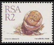 Sudafrica 1988 - serie Piante grasse: 2 r