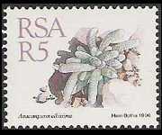 South Africa 1988 - set Succulents: 5 r