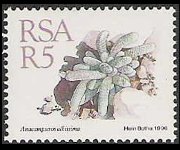 Sudafrica 1988 - serie Piante grasse: 5 r