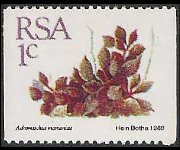 Sudafrica 1988 - serie Piante grasse: 1 c