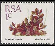 Sudafrica 1988 - serie Piante grasse: 1 c