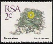 South Africa 1988 - set Succulents: 2 c