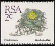 Sudafrica 1988 - serie Piante grasse: 2 c