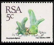 South Africa 1988 - set Succulents: 5 c