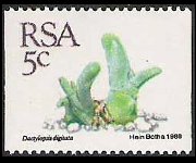 Sudafrica 1988 - serie Piante grasse: 5 c