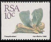 Sudafrica 1988 - serie Piante grasse: 10 c