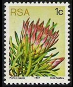 Sudafrica 1977 - serie Proteaceae: 1 c