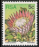 Sudafrica 1977 - serie Proteaceae: 5 c