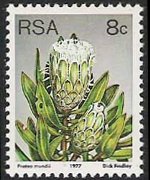 Sudafrica 1977 - serie Proteaceae: 8 c