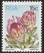 Sudafrica 1977 - serie Proteaceae: 15 c