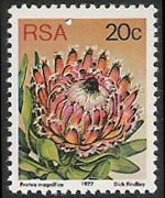Sudafrica 1977 - serie Proteaceae: 20 c