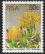 Sudafrica 1977 - serie Proteaceae: 50 c