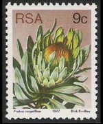 Sudafrica 1977 - serie Proteaceae: 9 c
