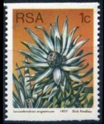 Sudafrica 1977 - serie Proteaceae: 1 c
