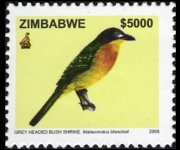 Zimbabwe 2005 - serie Uccelli: 5000 $