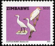 Zimbabwe 2005 - serie Uccelli: 100 $