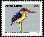 Zimbabwe 2005 - serie Uccelli: 500 $