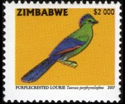 Zimbabwe 2005 - serie Uccelli: 2000 $