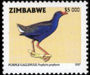 Zimbabwe 2005 - serie Uccelli: 5000 $