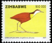 Zimbabwe 2005 - serie Uccelli: 10000 $